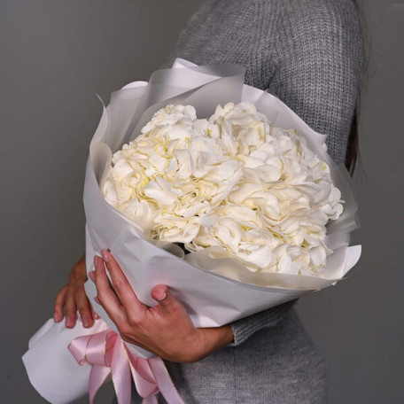 Hortensias blancas