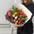 Women's Day
